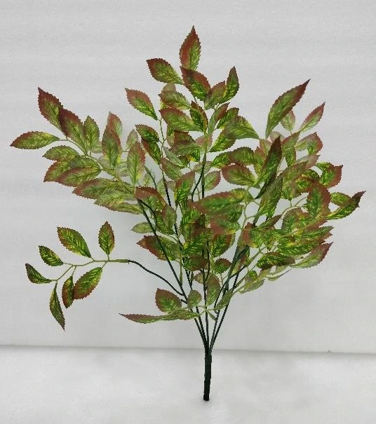 Natural Bay Leaf Bunch x 5